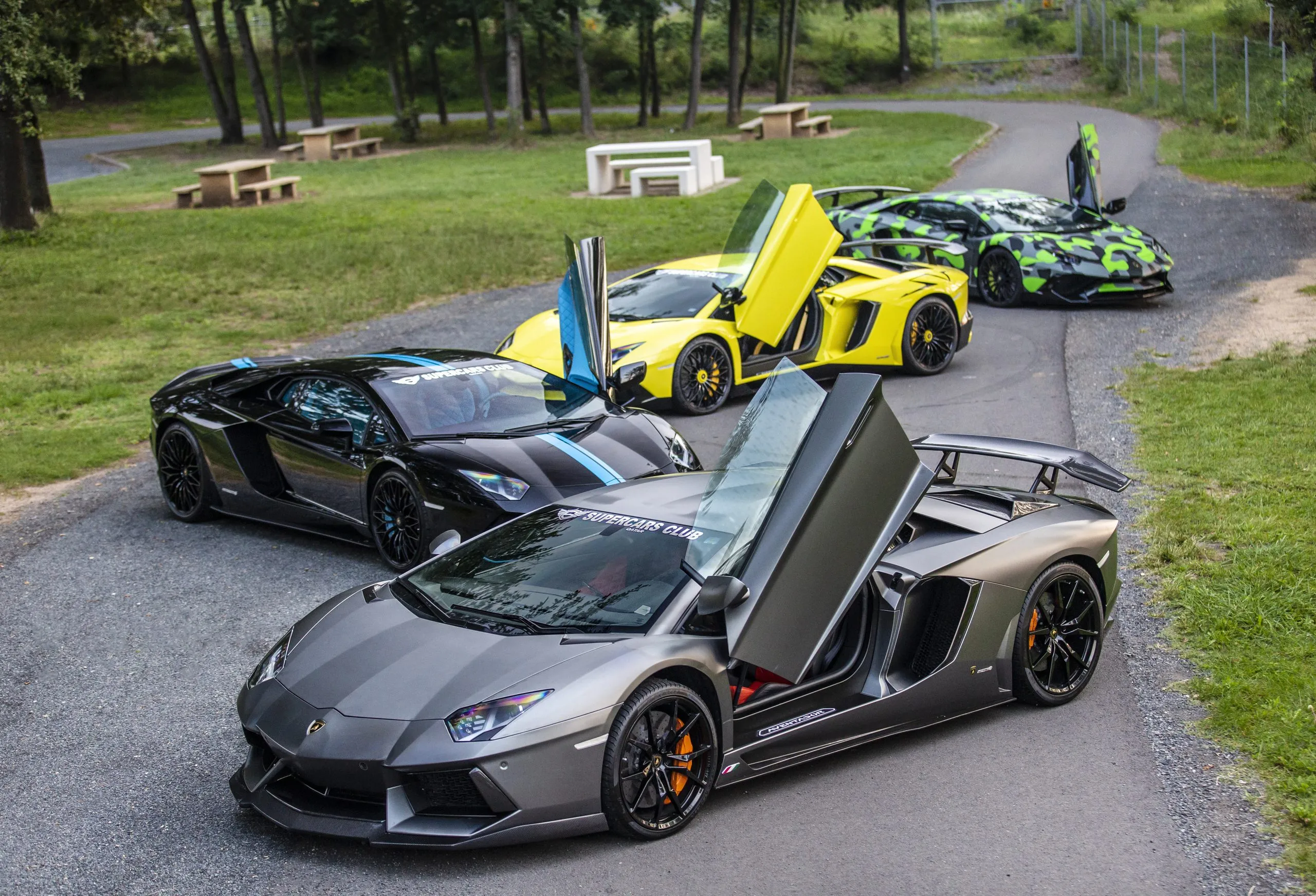 Group of Lamborghinis parked in a clearing