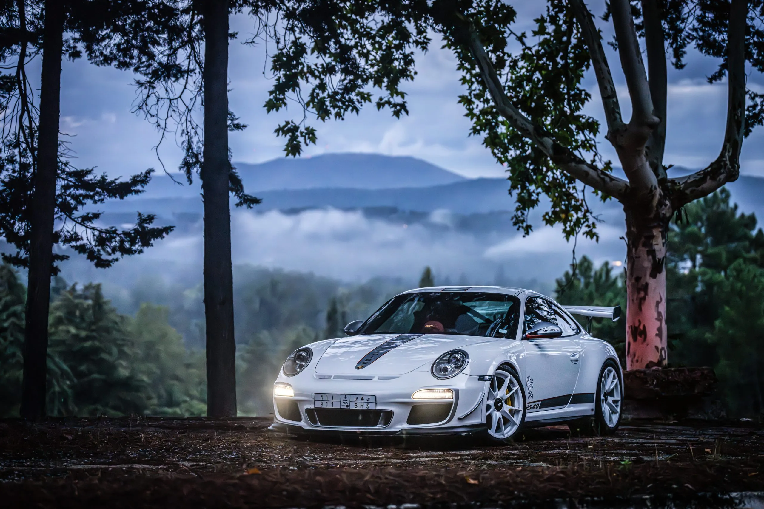 White Porsche 911 in a misty pine forest