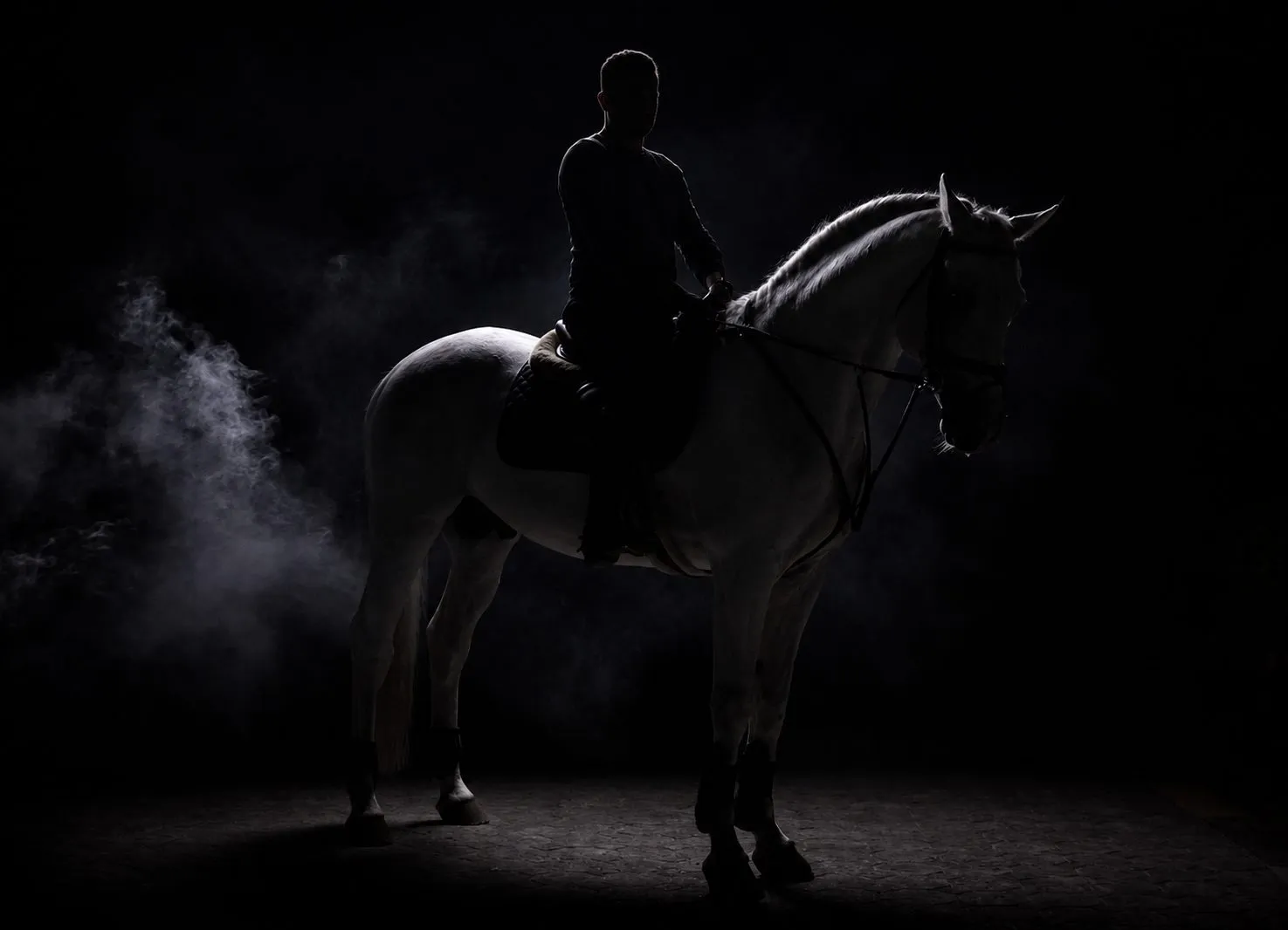 Dark horse rearing in studio smoke