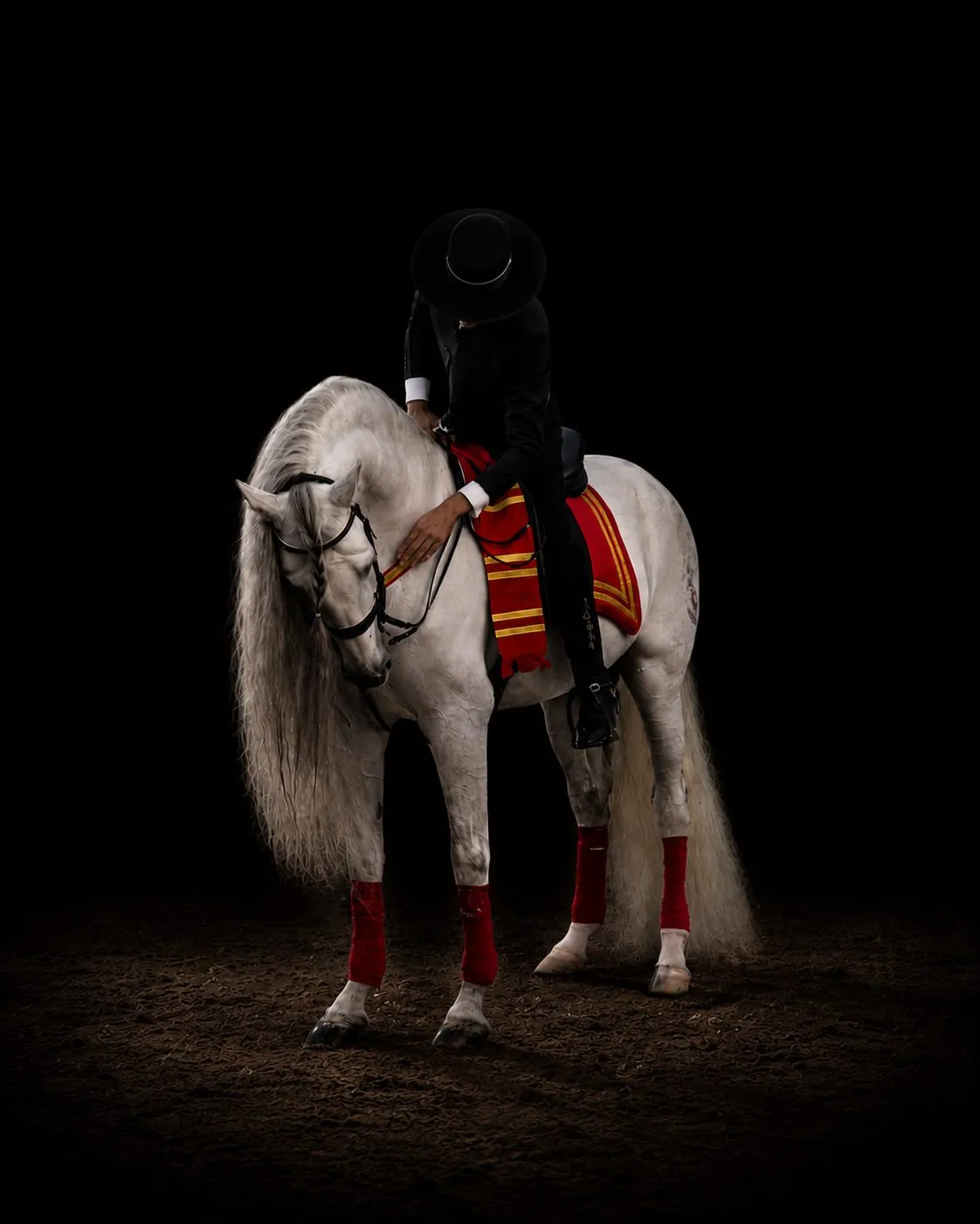 White horse with a red sash standing in darkness