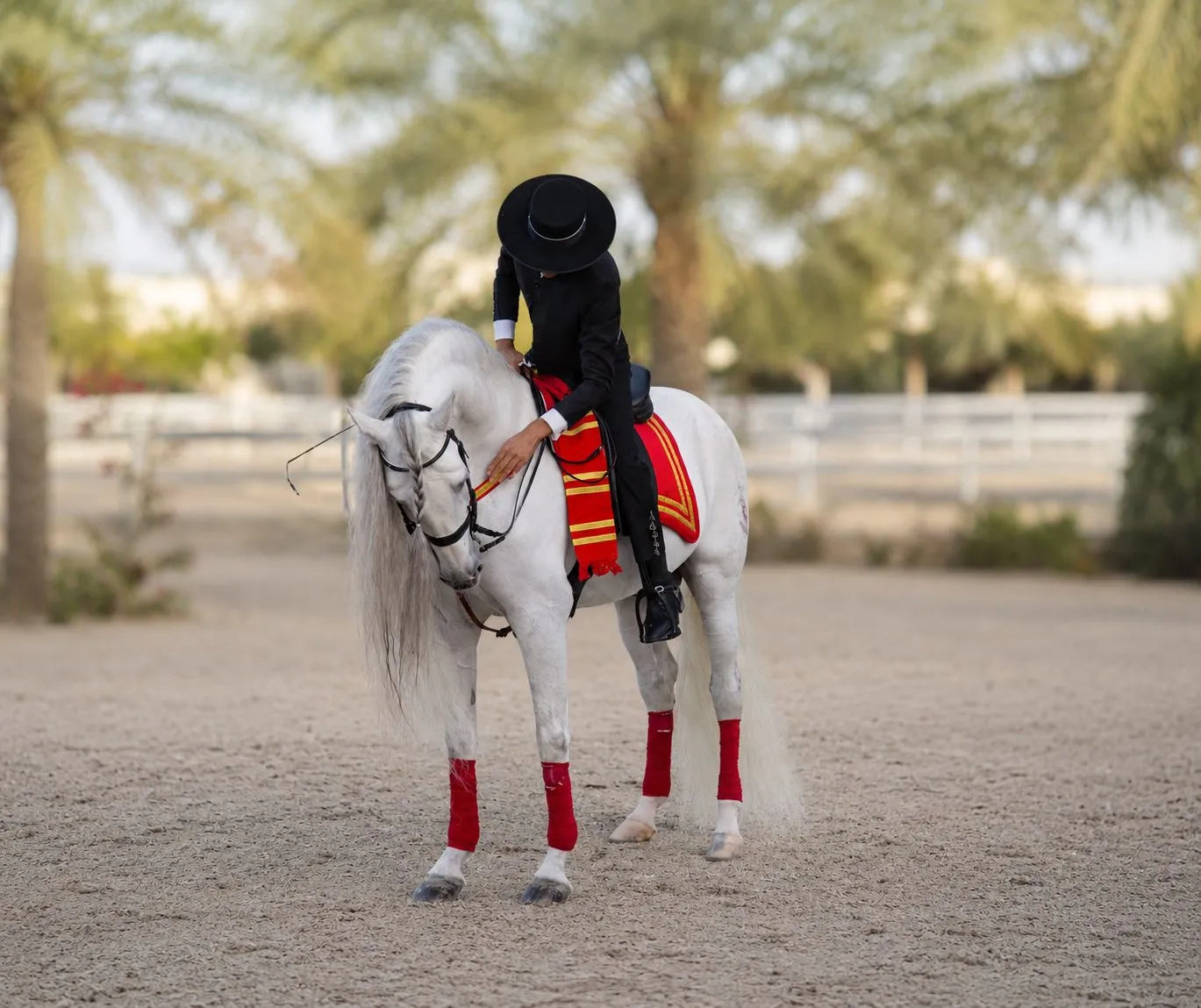 Rider in red robes on a white horse by the stables