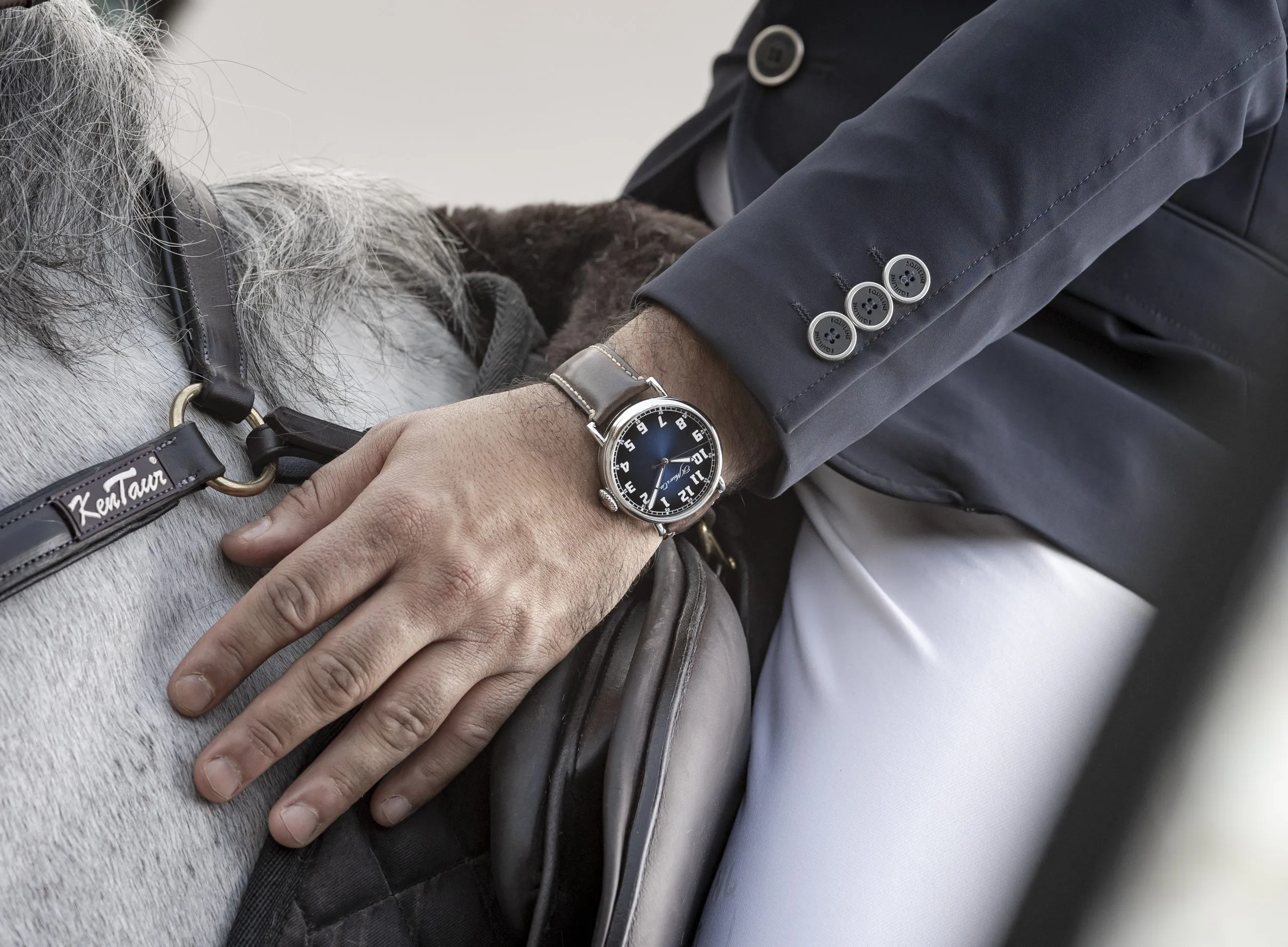 Watch on a wrist stroking a grey mane