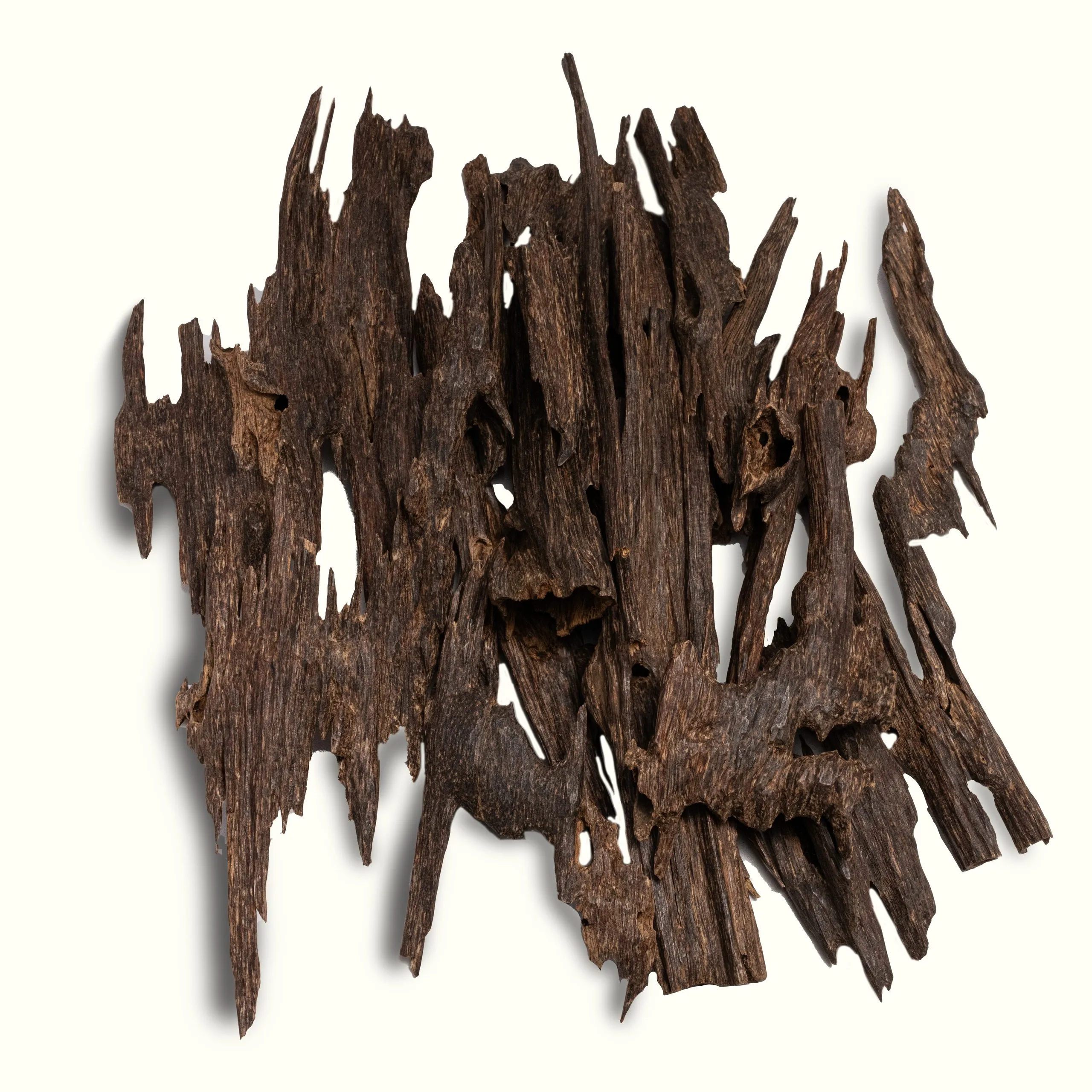 Abstract carved wood sculpture